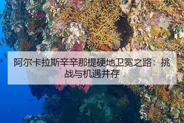 阿尔卡拉斯辛辛那提硬地卫冕之路：挑战与机遇并存