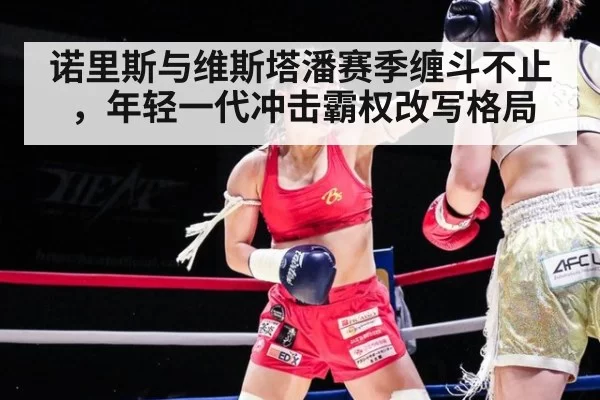诺里斯与维斯塔潘赛季缠斗不止，年轻一代冲击霸权改写格局